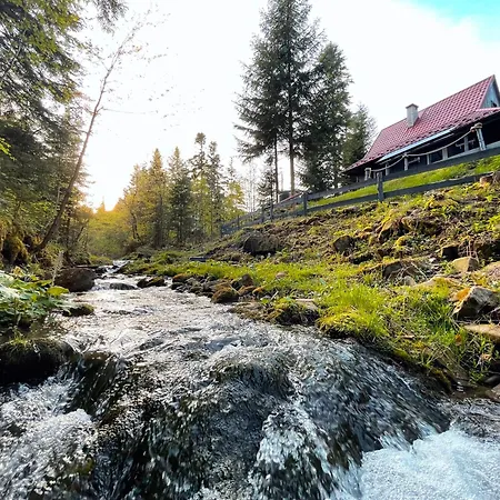Dom wakacyjny 187 - Vintage House Piwniczna-Zdroj