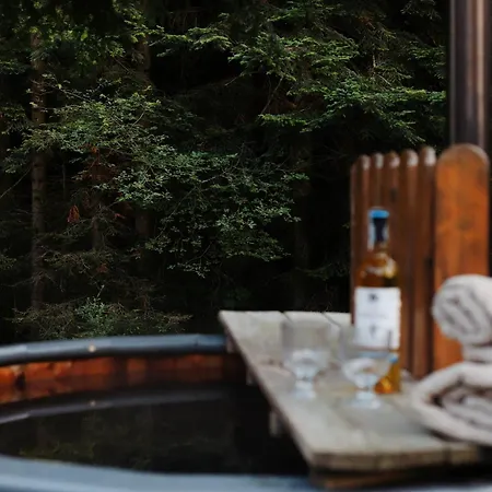 Dom wakacyjny 187 - Vintage House Piwniczna-Zdroj