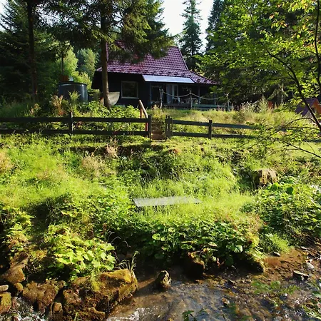 187 - Vintage House Holiday home Piwniczna-Zdroj